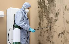 Mold Remediation for Vacation Homes in Hanover Park, IL